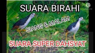 SUARA BIRAHI SUPER DAHSYAT