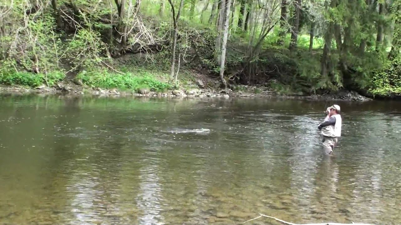 flyfishing untere Argen, Germany