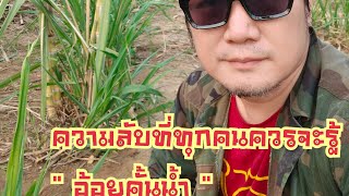 ความลับของ " อ้อยคั้นน้ำ " ที่โลกควรจะรู้สักที ไม่เคยเปิดเผยที่ไหนมาก่อน !!!