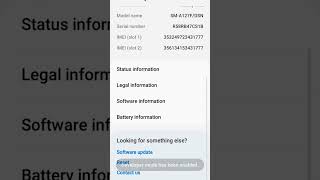 How to enable developer options on a Samsung phone
