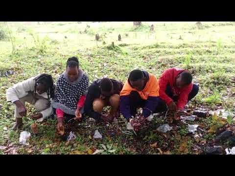 WhatsApp Video 2025 11 05 At 20 13 44 578c002a