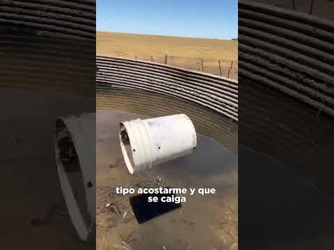 ASADO en lo