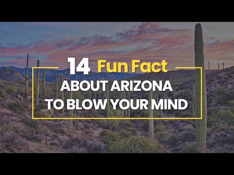14 Fun Facts