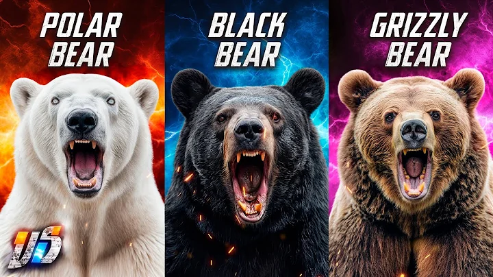 Polar Bear VS Black Bear VS Grizzly Bear