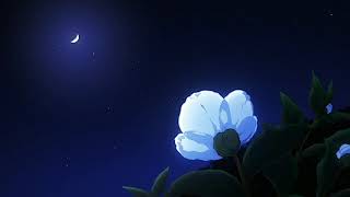 Lover - Yusei ( Slowed / Reverb )