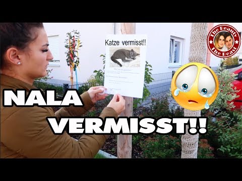 NALA WIRD VERMISST - KATZE ENTLAUFEN!! | daily VLOG TBATB