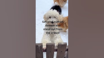 Supercharge Your Small Business with Debbie’s Web Hosting & Design Creativity!