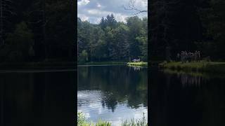 Madden No Data Centers on Pristine Pocono Woodlands