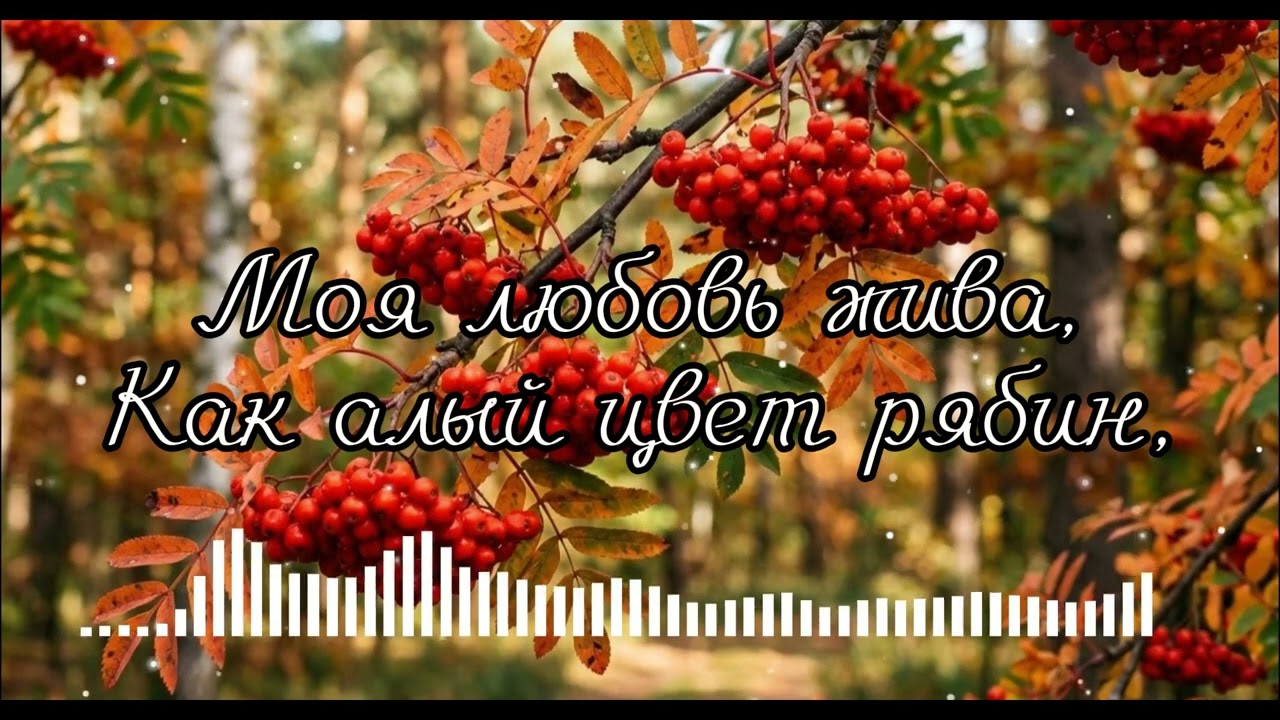 Моя любовь жива, Как алый цвет рябин,