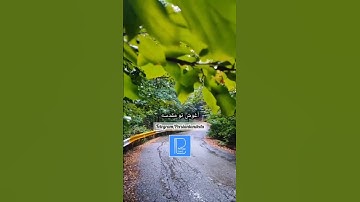 ✨Learn Persian with Music |  Persian Song by Shadmehr Aghili #learnpersian