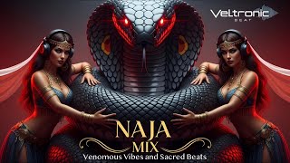 NAJA MIX | Venomous Vibes and Sacred Beats 🐍🔥 | Veltronic Beat | Arabian Deep Ritual
