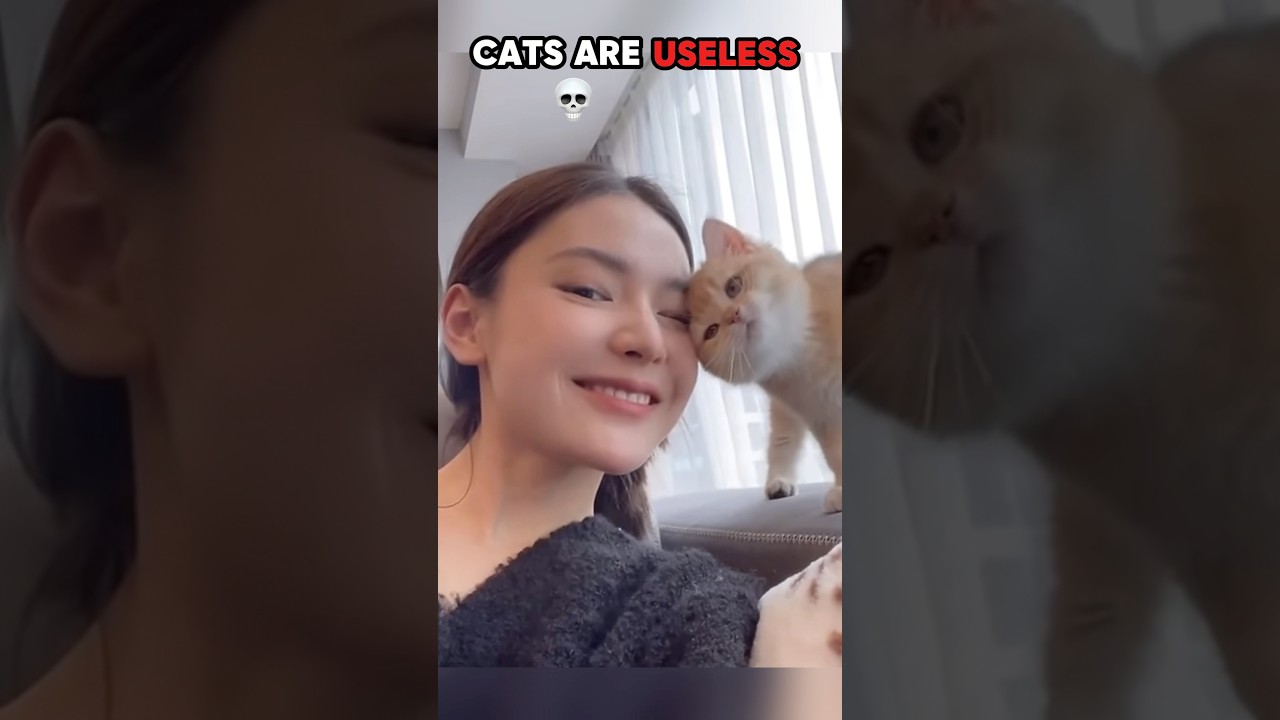 Cats are Useless🗿💀 