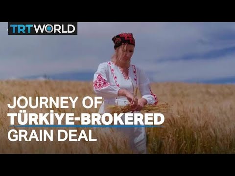 Success story of Türkiye-brokered grain deal