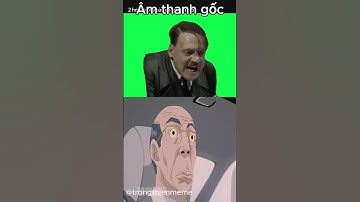 meme German cat và âm thanh gốc  #giaitri#memes