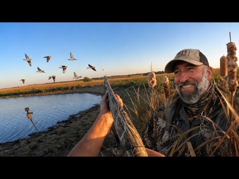 Dove Hunting a Farm Pond | Doves Everywhere!