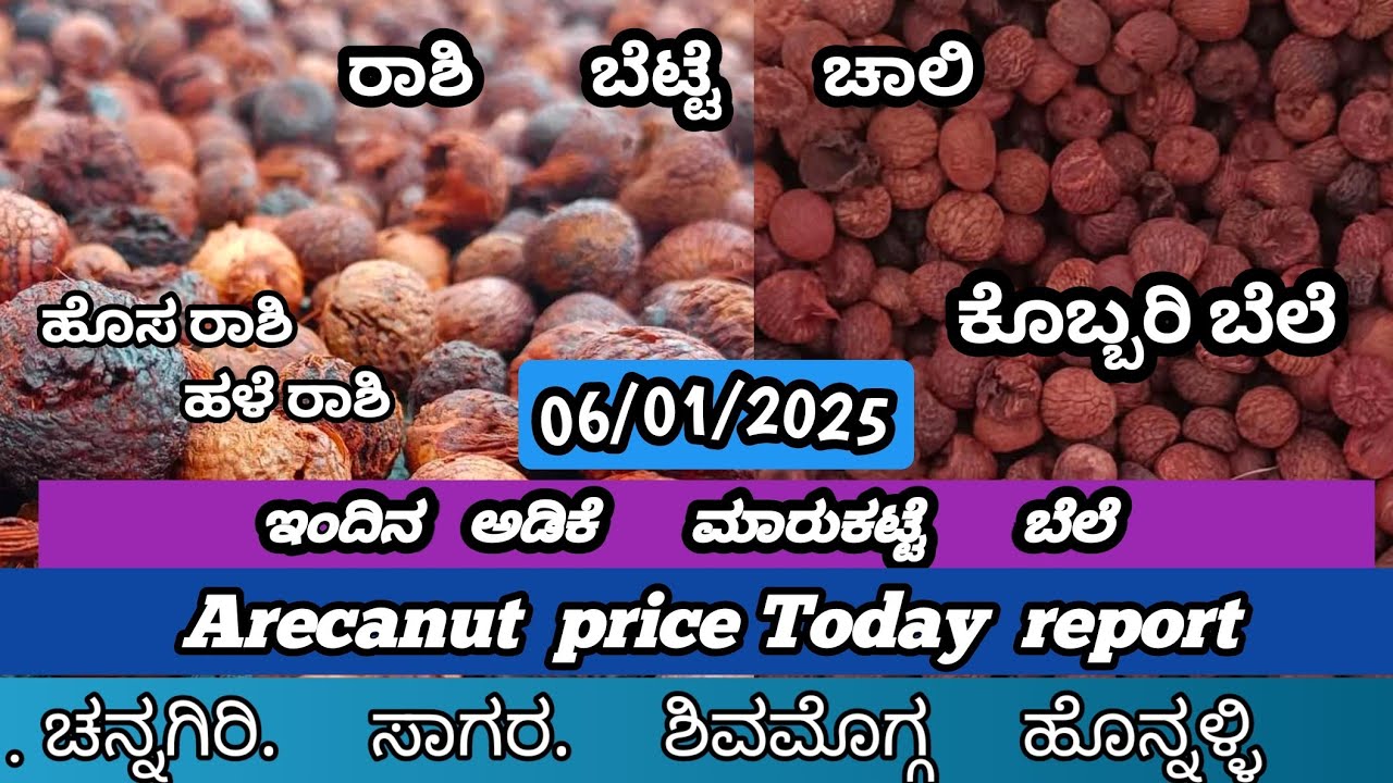 ಇಂದಿನ ಅಡಿಕೆ ಮಾರುಕಟ್ಟೆ ಬೆಲೆ 06/12/2024 | adike rate today | Arecanut ...