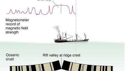 Magnetic Polarity Animation