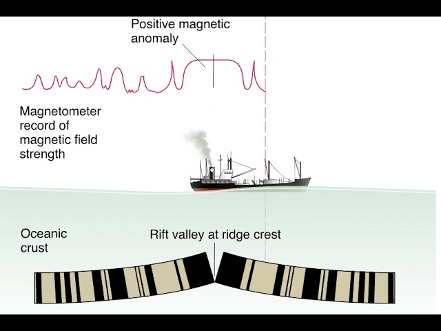 Magnetization Animation Magnetic Reversal Animation