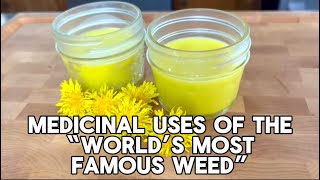 Dandelion  Powerful Medicinal 'Weed'| Health Benefits, Uses, & Recipes