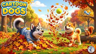 Cartoon for Dogs 🐶 🏠 Home Alone TV for Puppies 🎵🍂 Autumn Dog Calming Music 💙 Stop Puppy Boredom screenshot 3