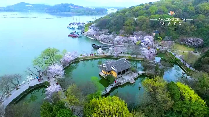 Cherry Blossoms in Taihu Lake, E China's Jiangsu - DayDayNews