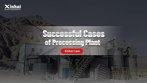 Xinhai strength | Successful Cases