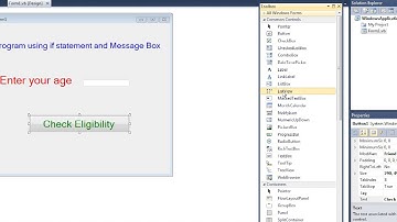 Grade 8- Computer Science -Yamuna -Visual Basic  Chapter3 -Video 2