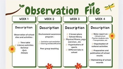 4 Weeks School Internship Report | Complete Observation file @LearnwithKriti01 #subscribe #bbmku#vbu