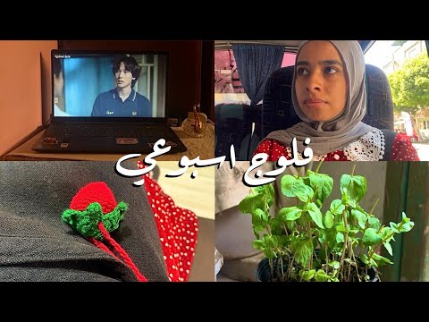 فلوج اسبوع في حياتي قضاء اخر ايام الصيف