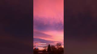 Catch The Stunning MONTANA SUNRISE Before Its Gone!
#sunrisecolors #montanasunrise #montanaliving
https://www.youtube.com/c/BWoodPhotography
https://www.bwoodphotography.com
To license footage please contact me at: becca@bwoodphotography.com
Catch The Stunning MONTANA SUNRISE Before Its Gone! #shorts
#sunriseshorts #montanashorts
Catch The Stunning MONTANA SUNRISE Before Its Gone! #shorts | Catch The Stunning MONTANA SUNRISE Before Its Gone! | Montana Sky | Montana Skies | Montana Sunrise | Stunning and Colorful sunrise | Sunrise Timelapse | Sunrise time lapse | Epic Montana Sunrise | Fall Sunrise | November Sunrise | Montana Sunrise Timelapse | Montana Sunrises are awesome. | Montana sunrise time lapse | Montana sunrise (time-lapse) | Epic Central Montana sunrise | Big Sky sunrise in Central Montana | Big Sky Sunrise | Relaxing Montana Sunrise | Montana Big Sky Sunrise | Wild Montana Skies Sunrise |
🎵 Music in this video 🎵:
https://artlist.io/Becca-1378936
ALL IMAGES IN THIS VIDEO ARE COPYRIGHTED, ©Becca Wood - B. Wood Photography. No part of this video shall be downloaded, altered or reproduced in any way or by any means without the formal written permission of B. Wood Photography. All Rights Reserved
🎞️ My Gear:
Cameras 📷:
Canon 1 DX Mark III camera
Canon 1 DX
Canon 5d Mark II
GoPro 9 Black
GoPro 7 Silver
DJI Mavic Air 2
Lenses:
Canon EF 400mm f/2.8L IS II USM Lens
Canon EF 600mm f/4L IS III USM Lens
Canon EF 100-400mm f/4.5-5.6L IS II USM Lens
Canon EF 70-200mm f/2.8L IS II USM Lens
Canon EF 100mm f/2.8L Macro IS Usm Lens
Canon 1.4x Extender
Canon 2.0x III Extender
Gitzo carbon fiber tripod
Manfrotto tripod
Manfrotto monopod
Joby Gorilla Pod
Website: https://www.bwoodphotography.com
Celebrating Life Magazine: https://www.bwoodphotography.com/Products/Magazine
Social Media:
Facebook: @BWoodPhotos
Instagram: @bwoodphotography
God is in the details. Ludwig Mies van der Rohe Catch The Stunning MONTANA SUNRISE Before Its Gone!