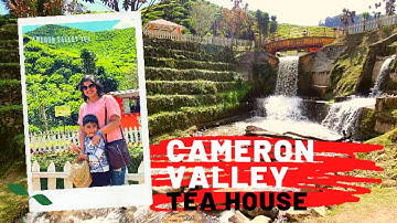 Cameron Valley Tea House 1| Cameron valley Tea Plantation || Cameron Highland Malaysia | Valley Teh
