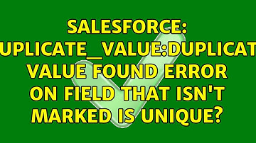 Salesforce: DUPLICATE_VALUE:duplicate value found error on field that ISN