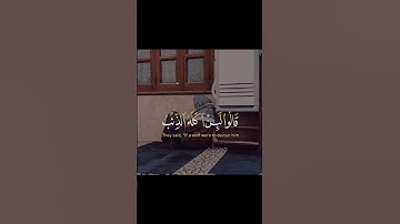 {قَالَ إِنِّي لَيَحْزُنُنِي أَن تَذْهَبُوا بِهِ} سورة يوسف | #سيد_سعيد #تلاوة_خاشعة #fyp #اكسبلور