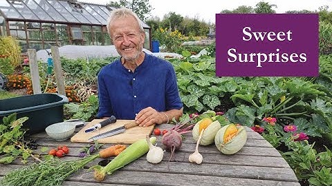 Measuring Brix Levels in Vegetables, Fruits – and a Flower | Surprising Results from No Dig Harvest