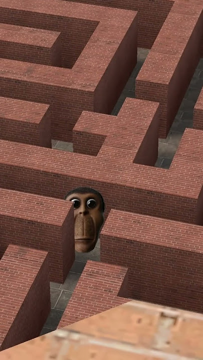 vs. Obunga #2
