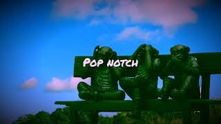 Yann Muller - Dance Monkey