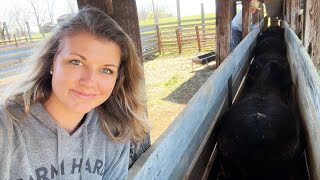 Take 'Em Away! by This Farm Wife - Meredith Bernard 56,635 views 1 month ago 24 minutes