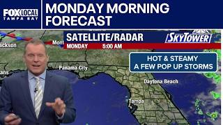 Details Tampa weather | Monday morning forecast News