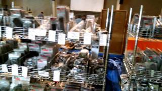 Elkhart Indiana gunshow