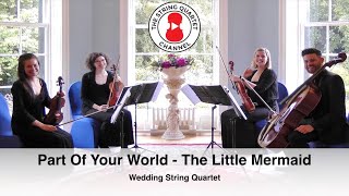 Part Of Your World - Jodi Benson (The Little Mermaid) Wedding String Quartet - 4K