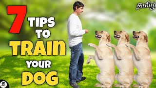 7 tips for training a dog | How to train | Basics | funny😂 screenshot 3