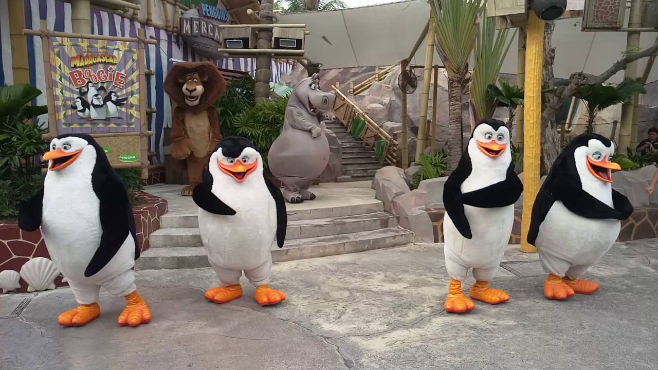 Madagascar dancing @ universal studio singapore