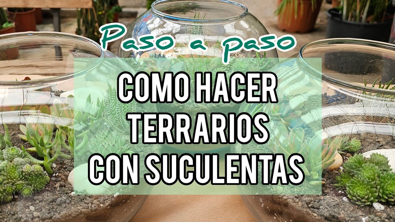 Como hacer un terrario de cristal con suculentas / Jardín Suculento