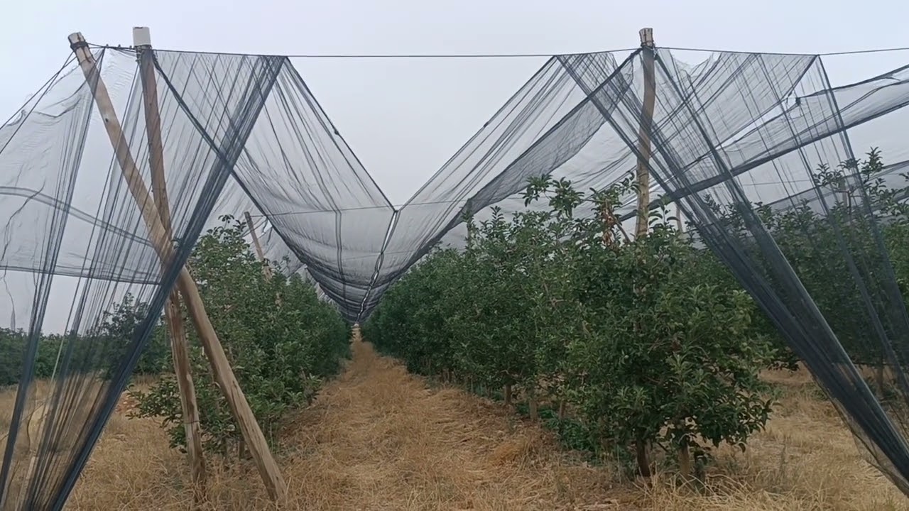 فيرما 💥 مجهزة للبيع  7 هكتار تفاح و حب الملوك تيتر  ماء بئر مجود على طريق 0679444657  عند جمال وسيط💯