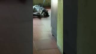 Download Lagu Pasrah🤗😁 MP3