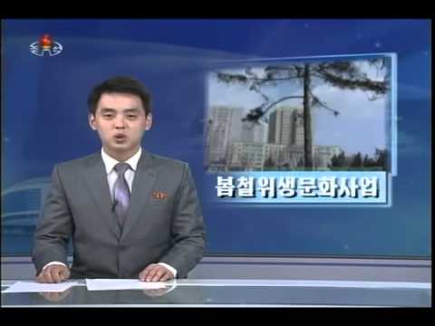 늦은 밤 뉴스