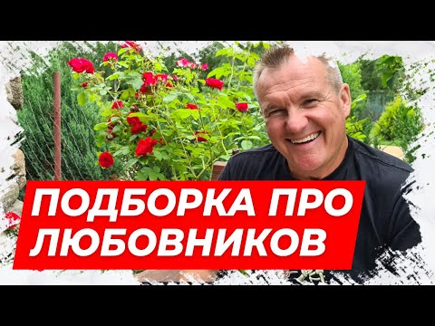 Анекдоты про любовников! Подборка анекдотов №1