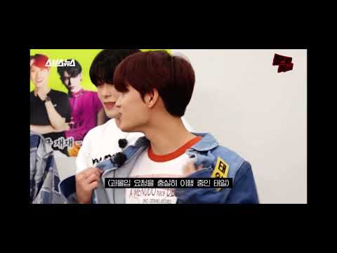 [NCT 재현태일] 애들아 엉아들 싸움이다