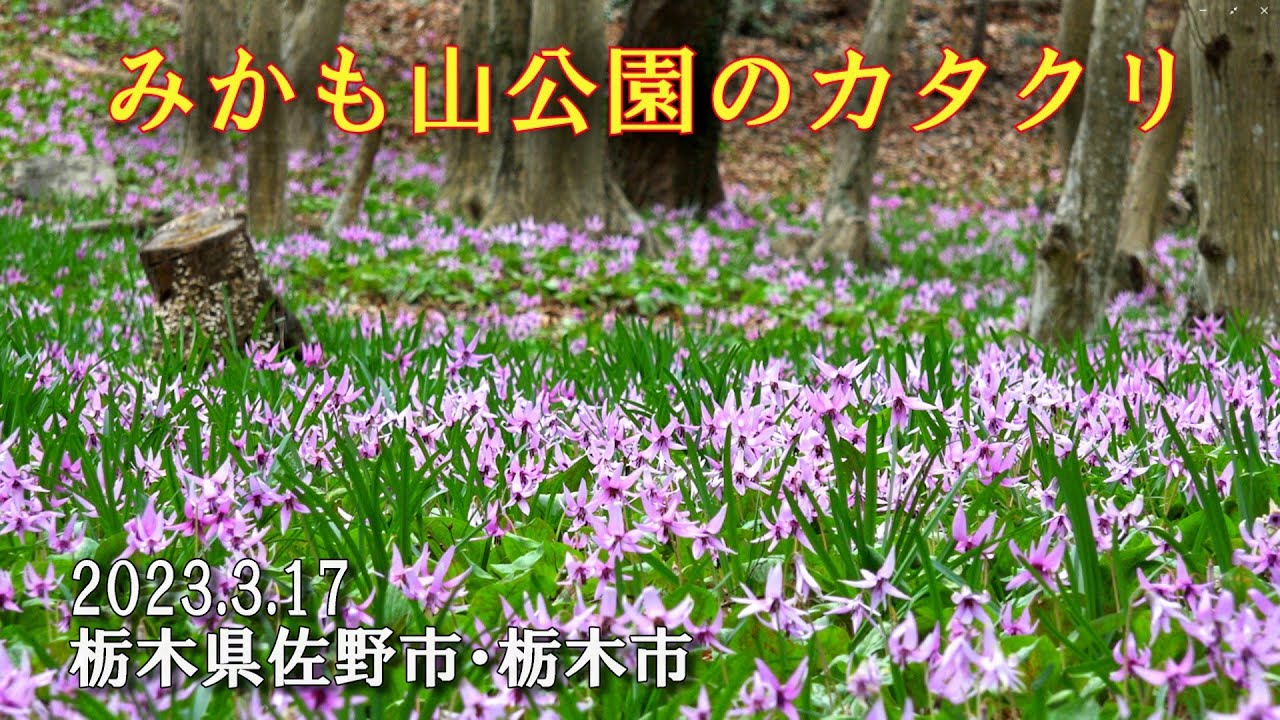 み かも 山 | 三毳山 地図 – QGBRJR