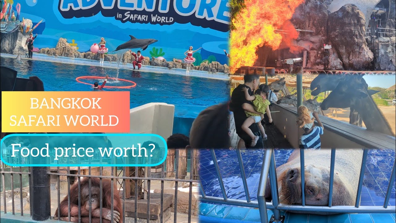 Safari world Bangkok с обедом по системе «шведский стол» | Подробный путеводитель по Таиланду | О...